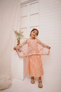 Peach 2 -Piece Wedding Dress | Floral Embroidered Party Wear